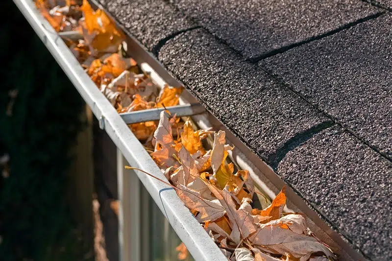 A photo of a roof that needs gutter cleaning in portland, oregon