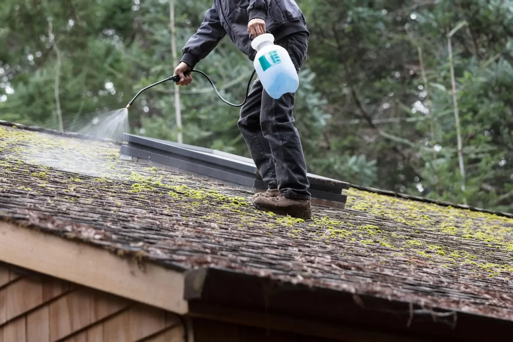 roof cleaning a house full of moss