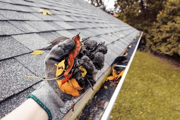 Cleaning of leaves on top of a dirty roof