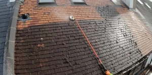 roof cleaning services
