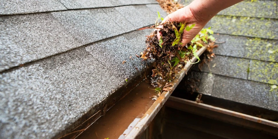 removing leaves from clogged gutters