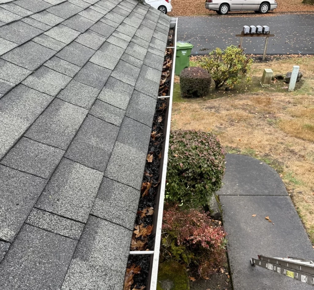 gutter cleaning st helens