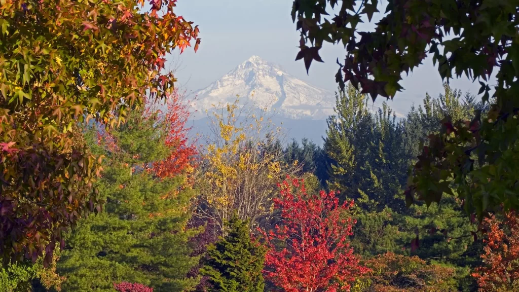 fall gutter cleaning in Portland, OR