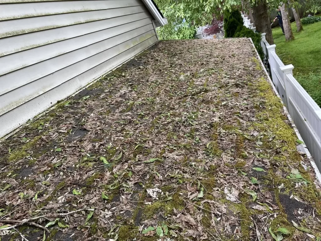 roof covered with moss in Beaverton, Oregon