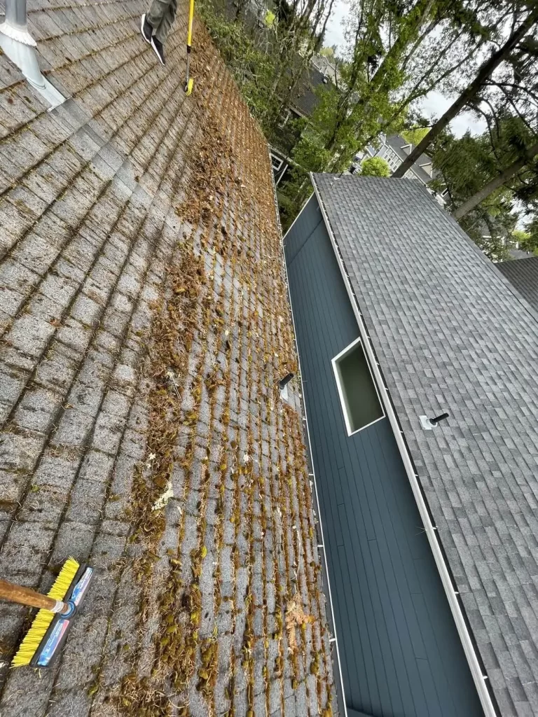 brushing off moss from roof in Portland, OR