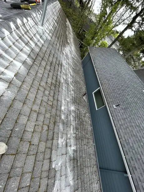 roof cleaning beaverton