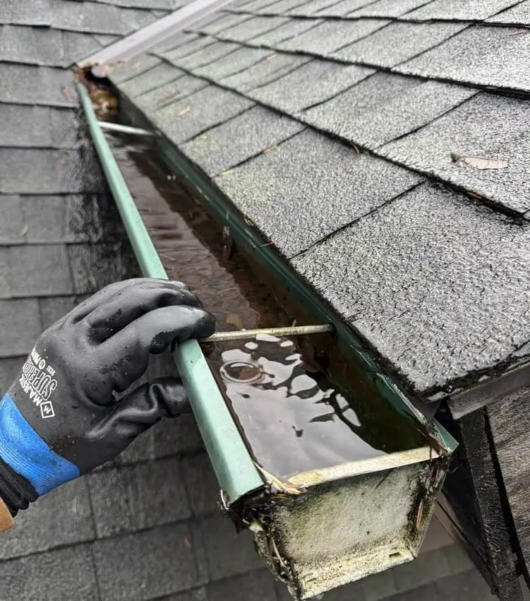 clogged damaged gutters