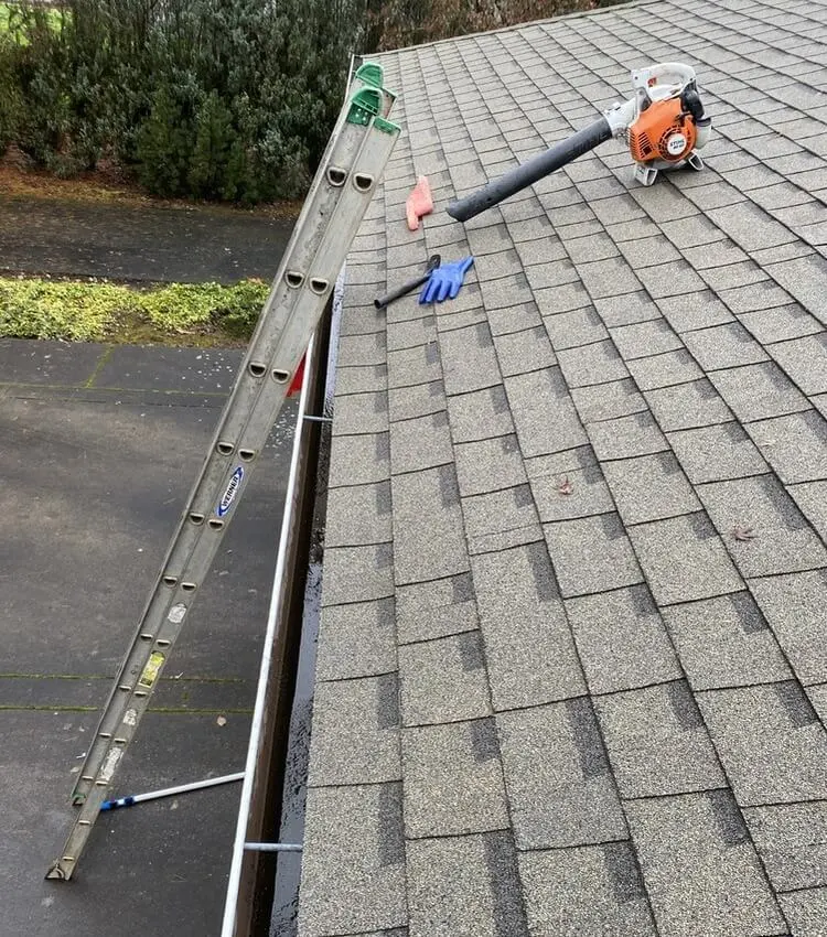 a roof blower for roof cleaning on top of a house roof