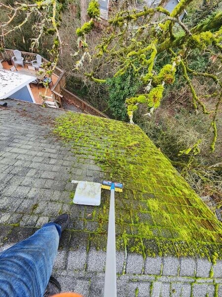 Roof Cleaning 4 roof moss removal in oregon