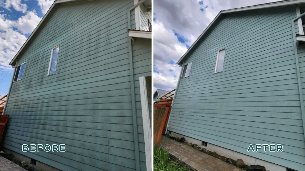 before and after photo of house washing service