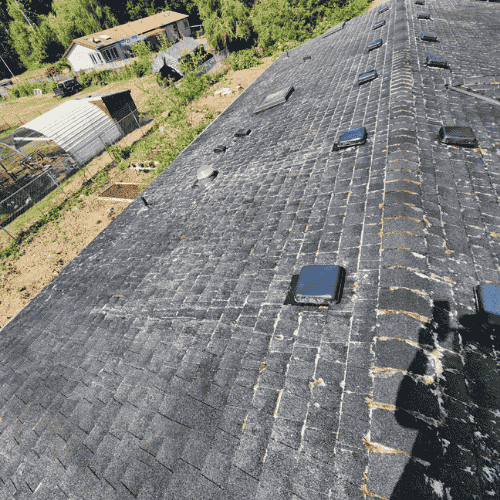 Roof Cleaning Scappoose 2 after roof cleaning