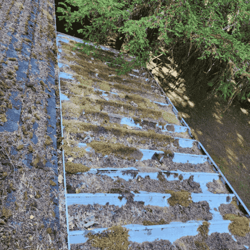 Roof Cleaning Scappoose 3 before roof cleaning