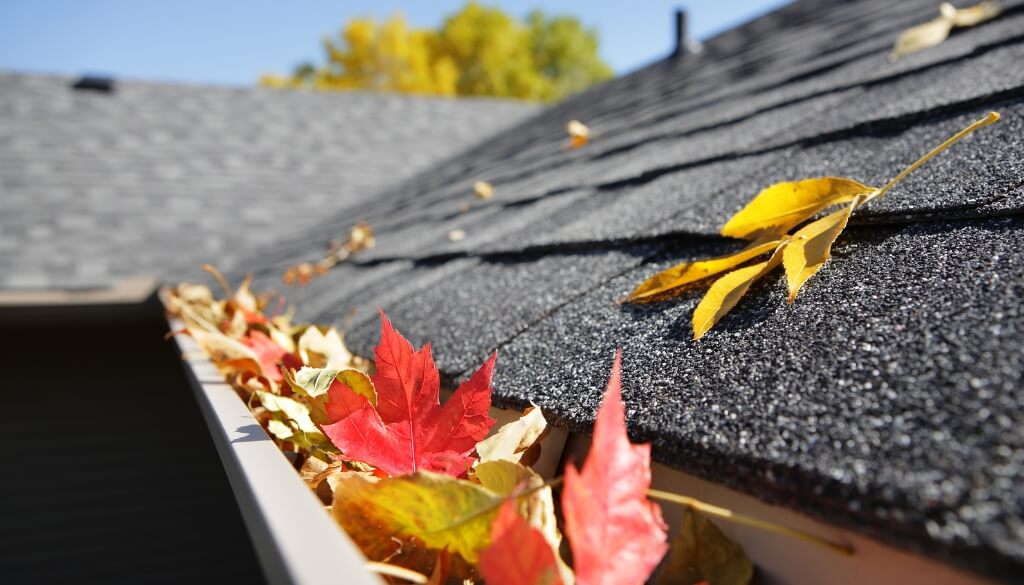 leaves on gutters during fall