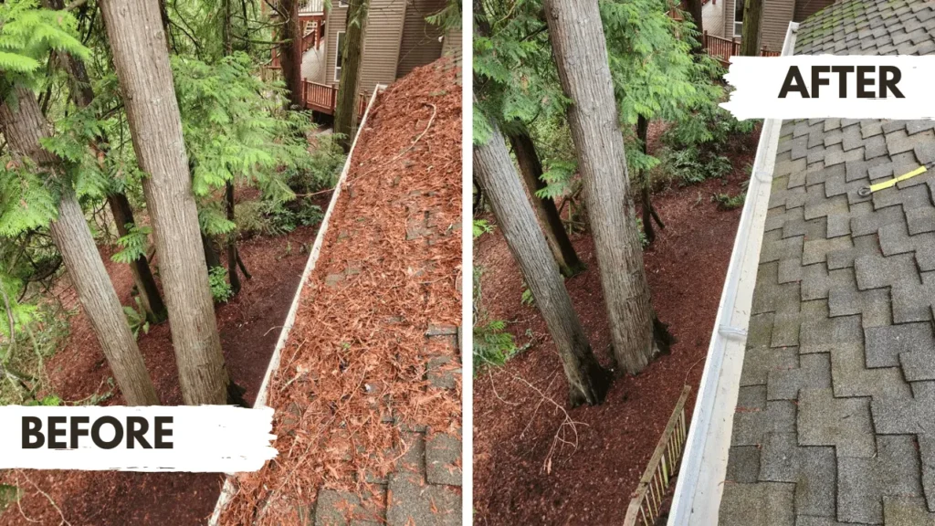 Emergency Gutter Cleaning: When You Can't Wait for an Appointment 1 emergency gutter cleaning