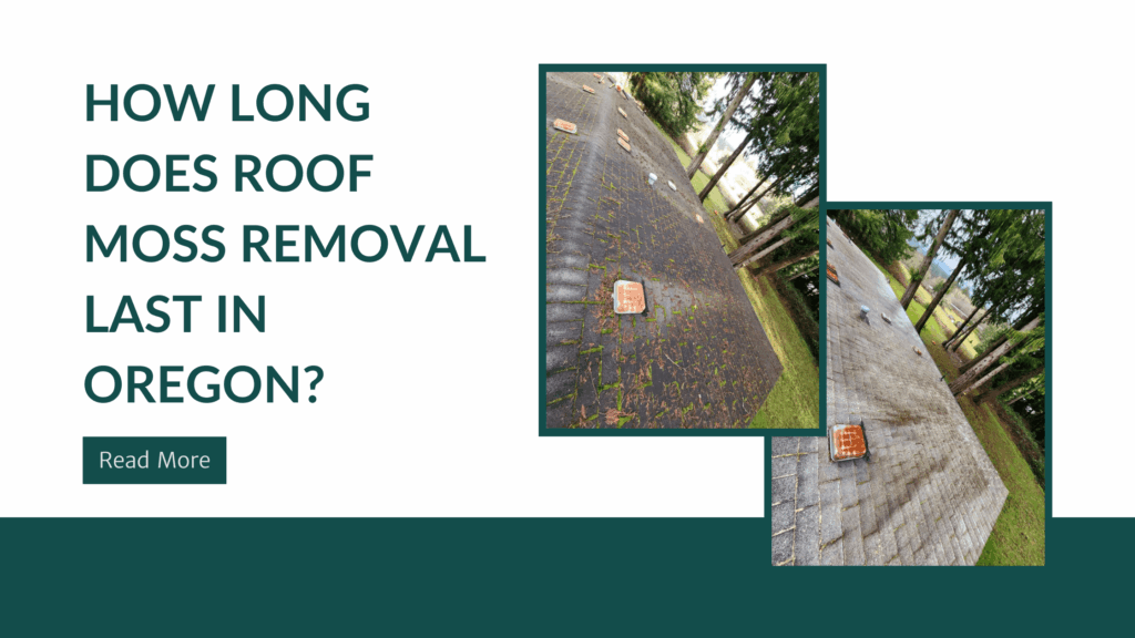 How Long Does Roof Moss Removal Last in Oregon? 3 how long does moss rremoval last in oregon 1