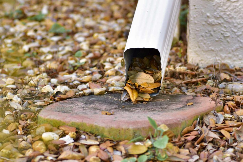 downspout outlet clogged with leaves