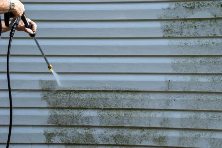 Green algae growing on the north side of an Oregon home's siding