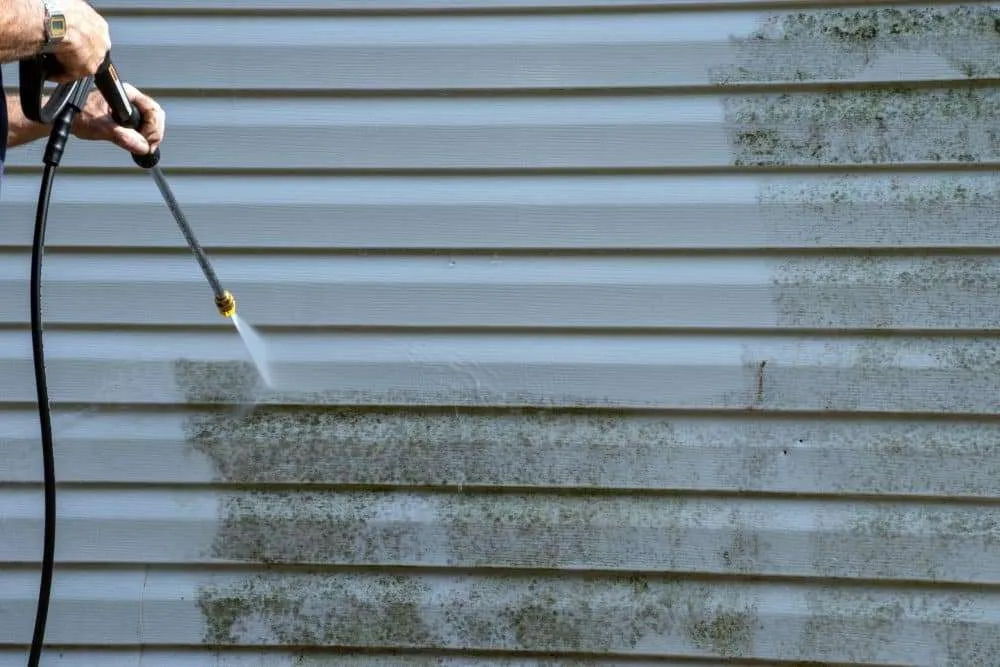 Green algae growing on the north side of an Oregon home's siding