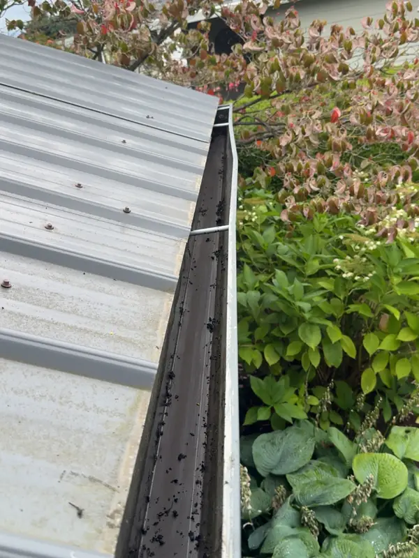 The same gutter in Columbia City, Oregon after cleaning, with the leaves removed