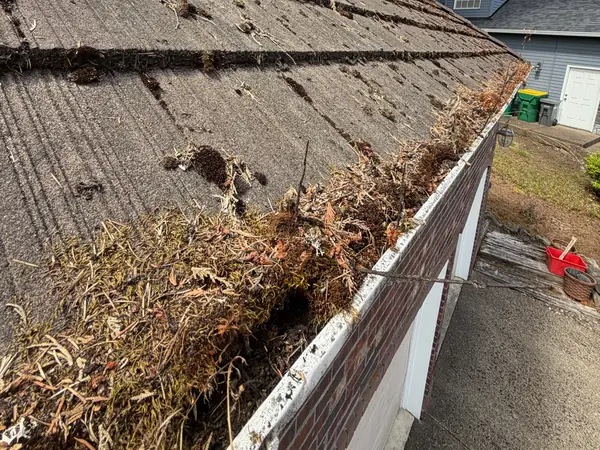 Gutter packed with leaves and plant debris along a roof edge in Beaverton, Oregon