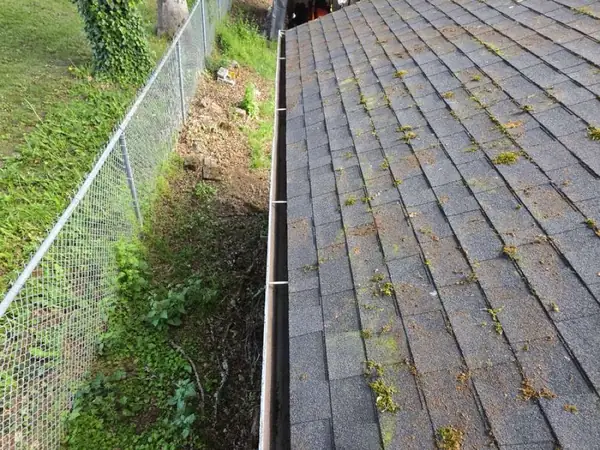 Moss growing along the lower edge of a shingle roof in Scappoose, Oregon