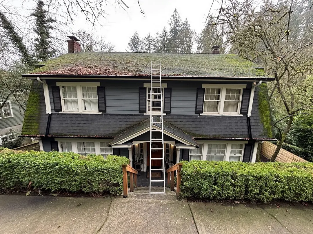 Two-story gray house with moss across the main roof and down the steep side slopes, ladder at the front steps