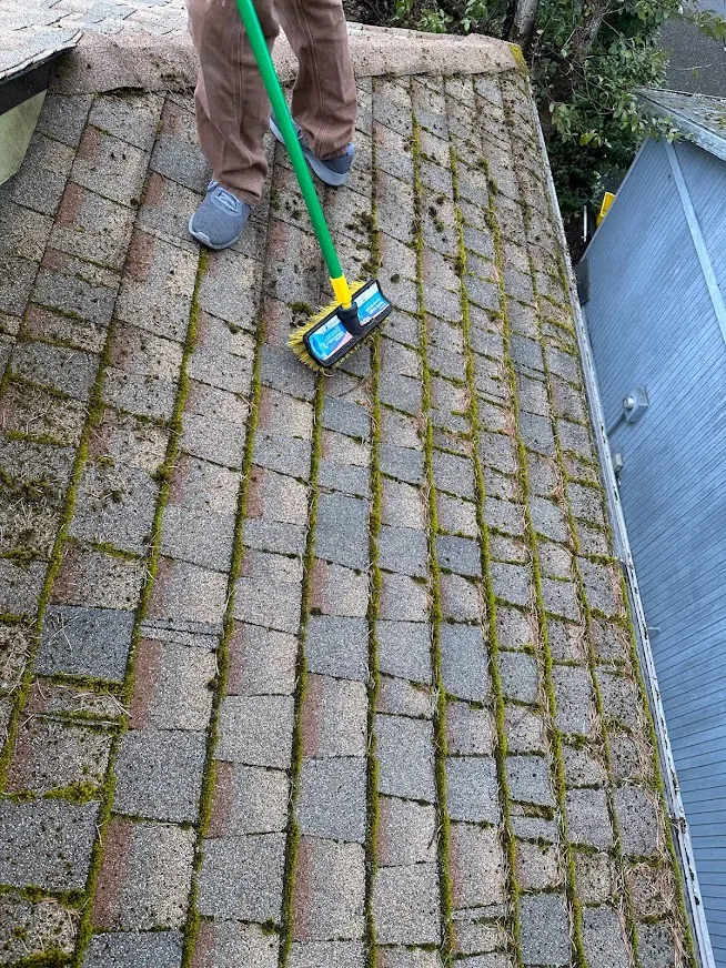 NJM technician on a moss-lined shingle roof, working a long-handled soft brush along the rows