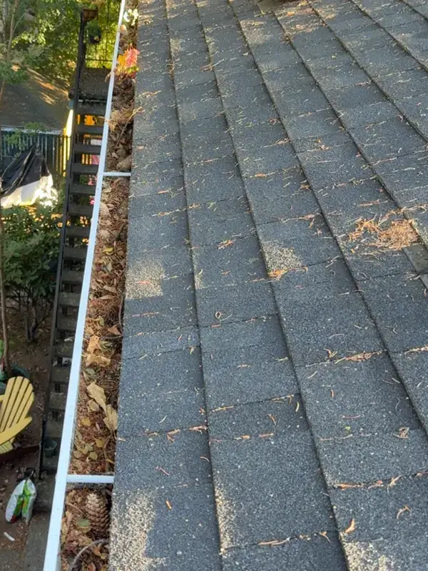 Portland roof edge covered in fir needles, with the gutter packed with debris, before cleaning