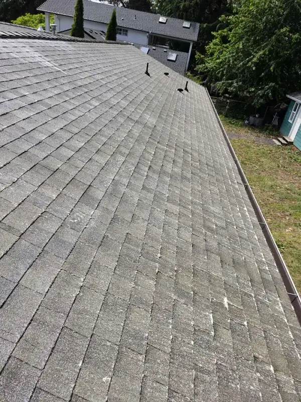 The same Scappoose, Oregon roof after cleaning, with the debris cleared