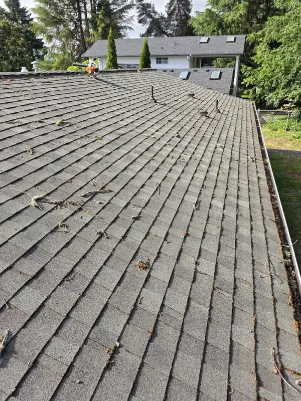 Shingle roof in Scappoose, Oregon scattered with twigs and debris before cleaning