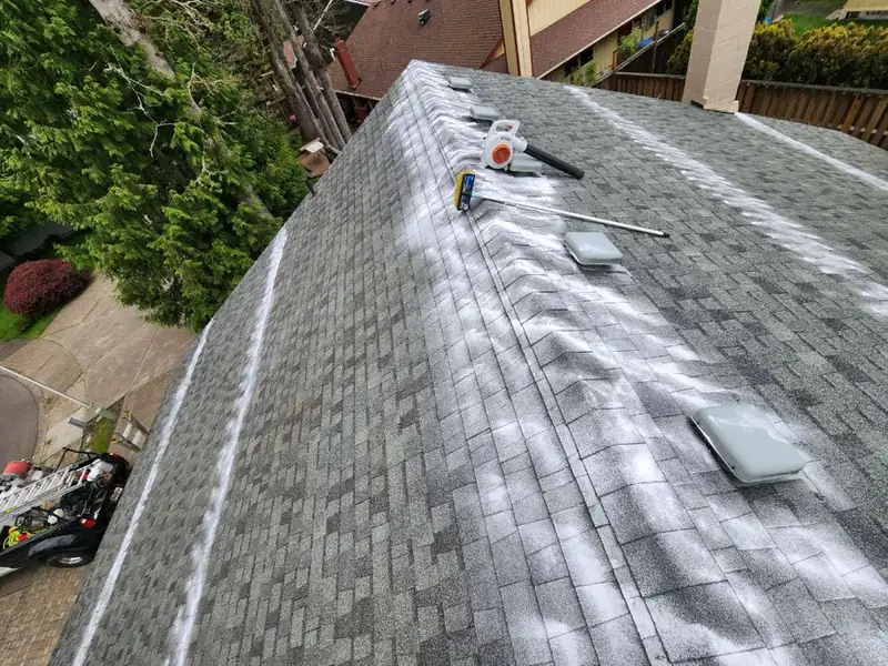Low-pressure soft wash treatment applied to a shingle roof in Beaverton, Oregon
